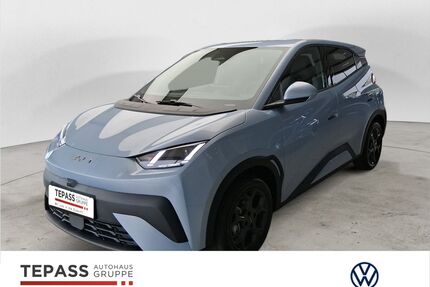 BYD DOLPHIN Gebrauchtwagen