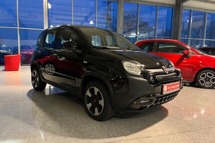 Fiat Panda Gebrauchtwagen