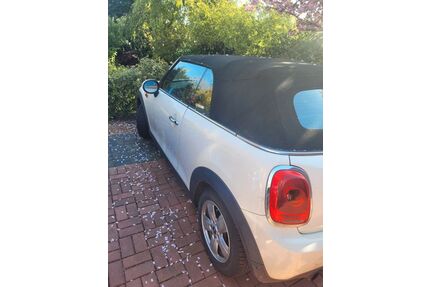 Mini Cooper Cabrio Gebrauchtwagen