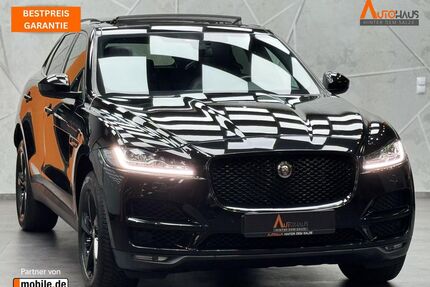 Jaguar F-Pace Gebrauchtwagen