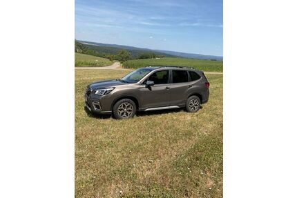 Subaru Forester Gebrauchtwagen