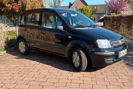 Fiat Panda Gebrauchtwagen