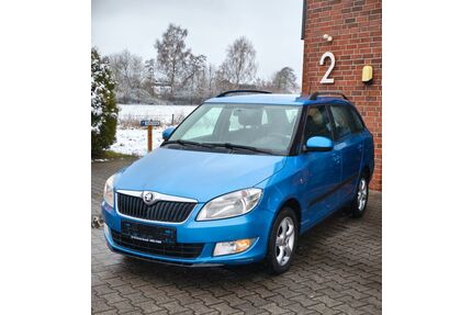 Skoda Fabia Gebrauchtwagen