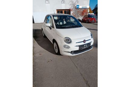 Fiat 500 Gebrauchtwagen