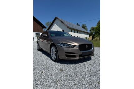 Jaguar XE Gebrauchtwagen