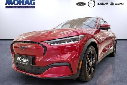 Ford Mustang Mach-E Gebrauchtwagen