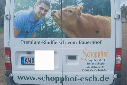 Ford Transit Gebrauchtwagen