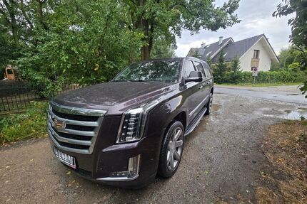 Cadillac Escalade Gebrauchtwagen