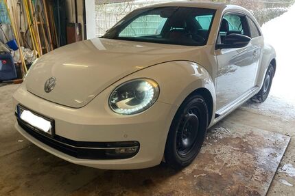 VW Beetle Gebrauchtwagen