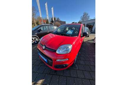 Fiat Panda Gebrauchtwagen