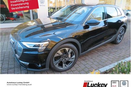 Audi e-tron Gebrauchtwagen