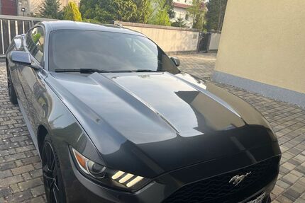 Ford Mustang Gebrauchtwagen