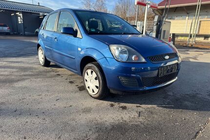 Ford Fiesta Gebrauchtwagen