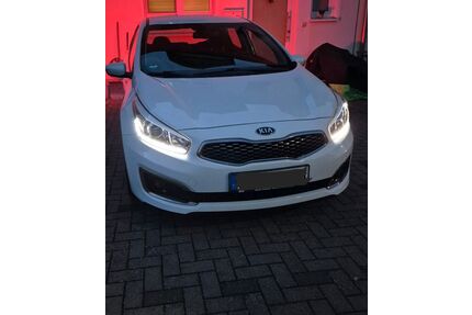 Kia ceed / Ceed Gebrauchtwagen