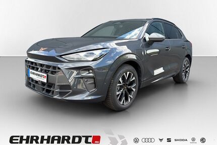 Cupra Terramar Gebrauchtwagen