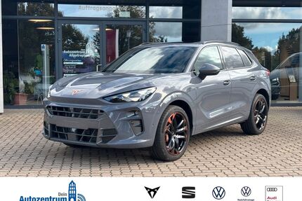 Cupra Terramar Gebrauchtwagen