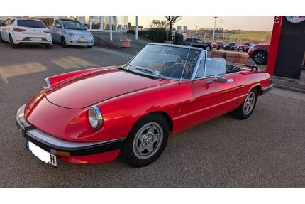 Alfa Romeo Spider Gebrauchtwagen