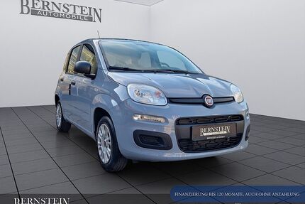 Fiat Panda Gebrauchtwagen