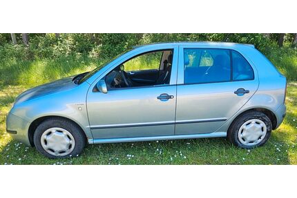 Skoda Fabia Gebrauchtwagen