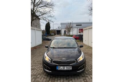 Kia ceed / Ceed Gebrauchtwagen