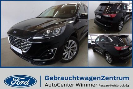 Ford Kuga Gebrauchtwagen