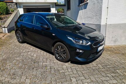 Kia ceed / Ceed Gebrauchtwagen