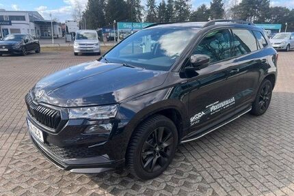 Skoda Karoq Gebrauchtwagen
