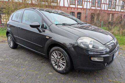 Fiat Punto Gebrauchtwagen