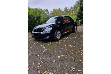 VW Beetle Gebrauchtwagen