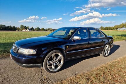 Audi S8 Gebrauchtwagen