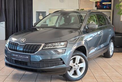 Skoda Karoq Gebrauchtwagen