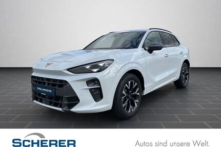 Cupra Terramar Gebrauchtwagen