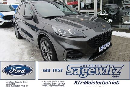 Ford Kuga Gebrauchtwagen