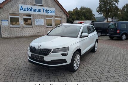Skoda Karoq Gebrauchtwagen