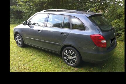 Skoda Fabia Gebrauchtwagen