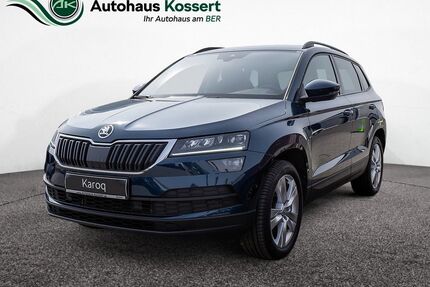 Skoda Karoq Gebrauchtwagen