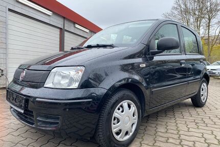 Fiat Panda Gebrauchtwagen