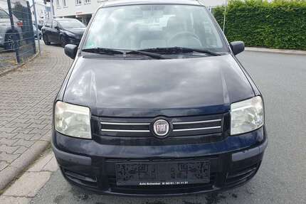 Fiat Panda Gebrauchtwagen