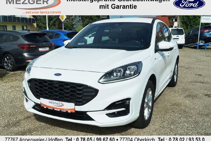 Ford Kuga Gebrauchtwagen