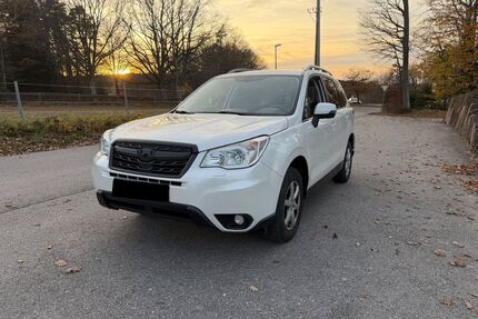 Subaru Forester Gebrauchtwagen