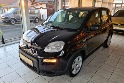 Fiat Panda Gebrauchtwagen