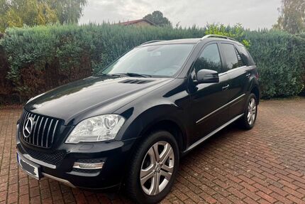 Mercedes-Benz ML 350 Gebrauchtwagen