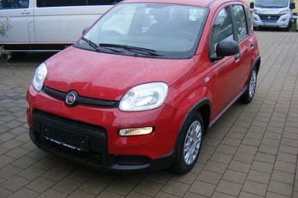 Fiat Panda Gebrauchtwagen