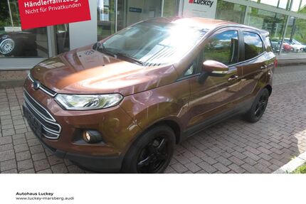 Ford EcoSport Gebrauchtwagen