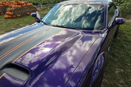 Dodge Challenger Gebrauchtwagen