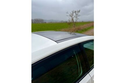 VW up! Gebrauchtwagen