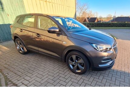 Opel Grandland (X) Gebrauchtwagen