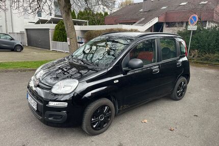 Fiat Panda Gebrauchtwagen