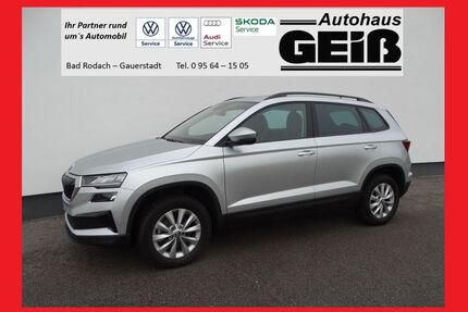 Skoda Karoq Gebrauchtwagen