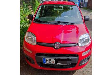 Fiat Panda Gebrauchtwagen